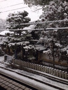 10958251_888777671174718_1167849521_n