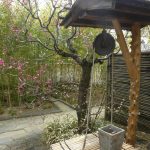 2017.3.18~20Himeji_170323_0116