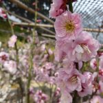 2017.3.18~20Himeji_170323_0122