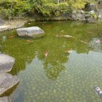 2017.3.18~20Himeji_170323_0124